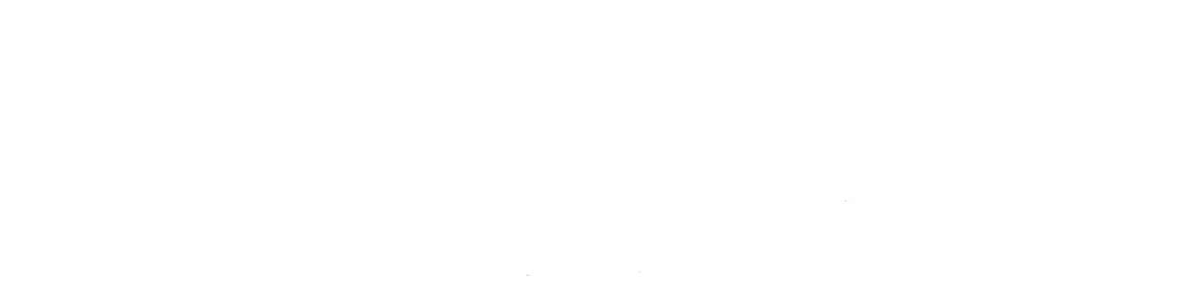 Embed Logo